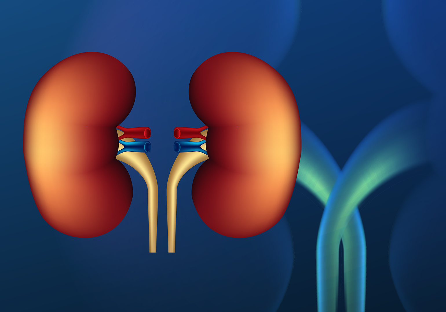healthenjoytr-kidney-diseases